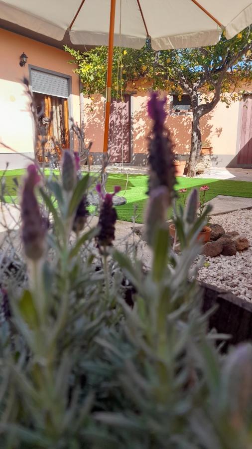 Bed and Breakfast Su Fassoi Càbras Zewnętrze zdjęcie