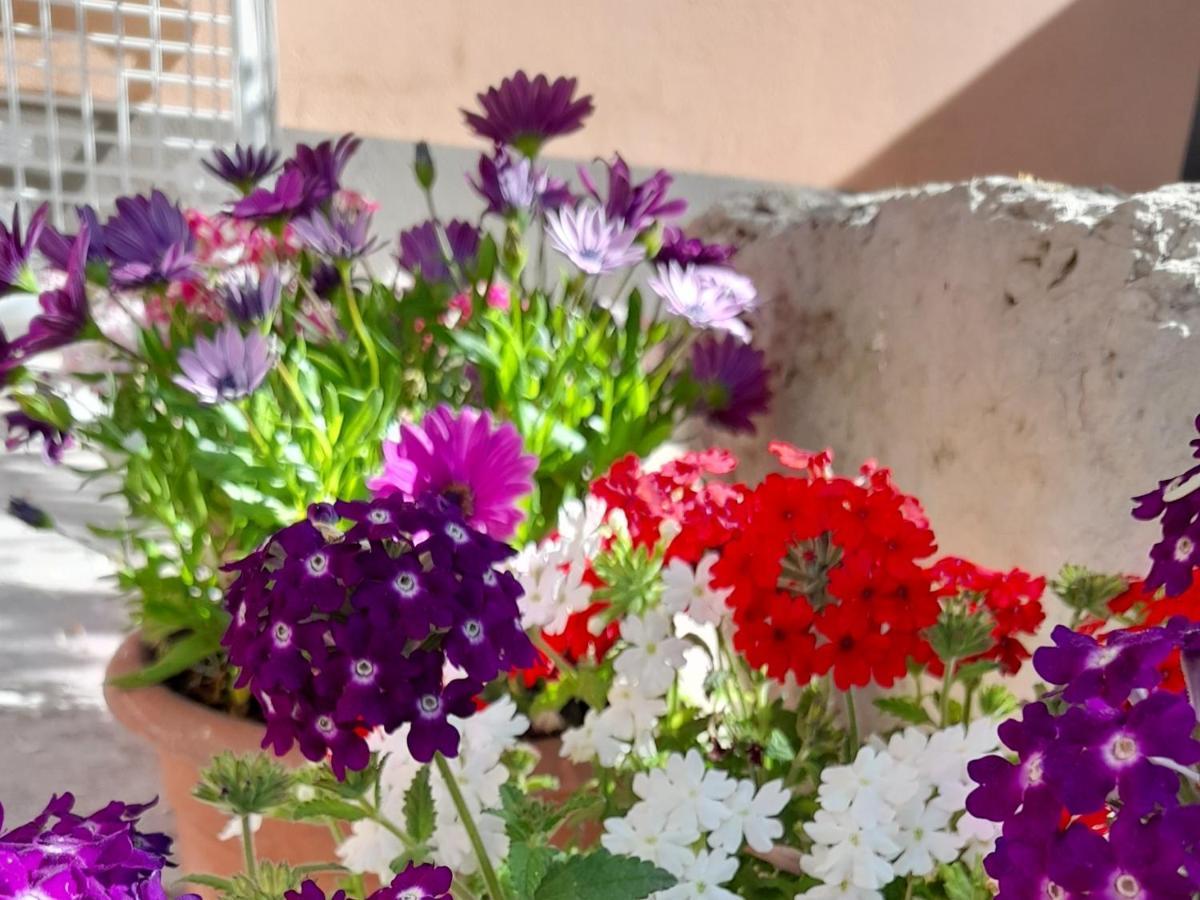 Bed and Breakfast Su Fassoi Càbras Zewnętrze zdjęcie